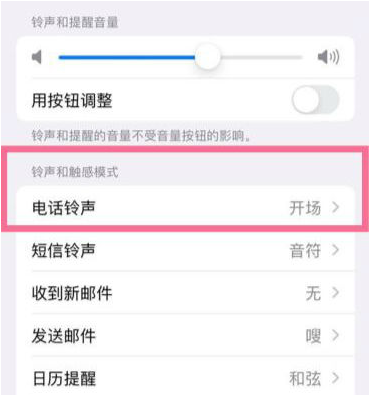 深圳苹果14维修网点分享苹果iPhone14铃声设置方法