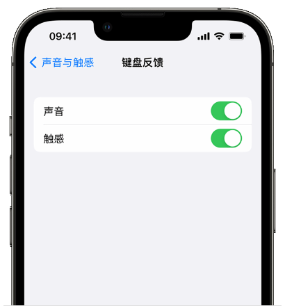 哈尔滨苹果14维修站点：如何在iPhone14机型中使用触感键盘?